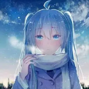 二次元宅